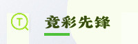 合作伙伴
